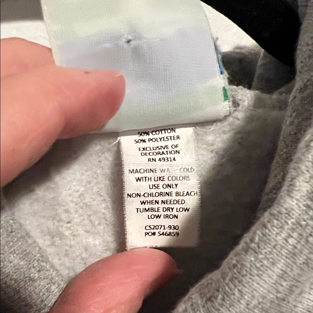 Champion Gray Washington Hoodie - Picture 3 of 6